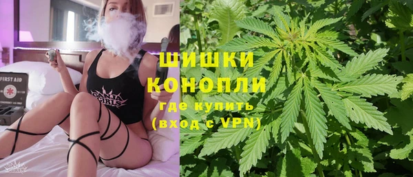 дживик Зеленокумск