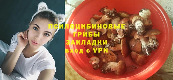 дживик Зеленокумск