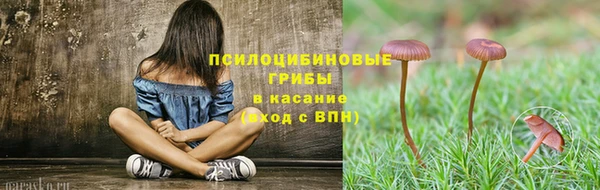 дживик Зеленокумск